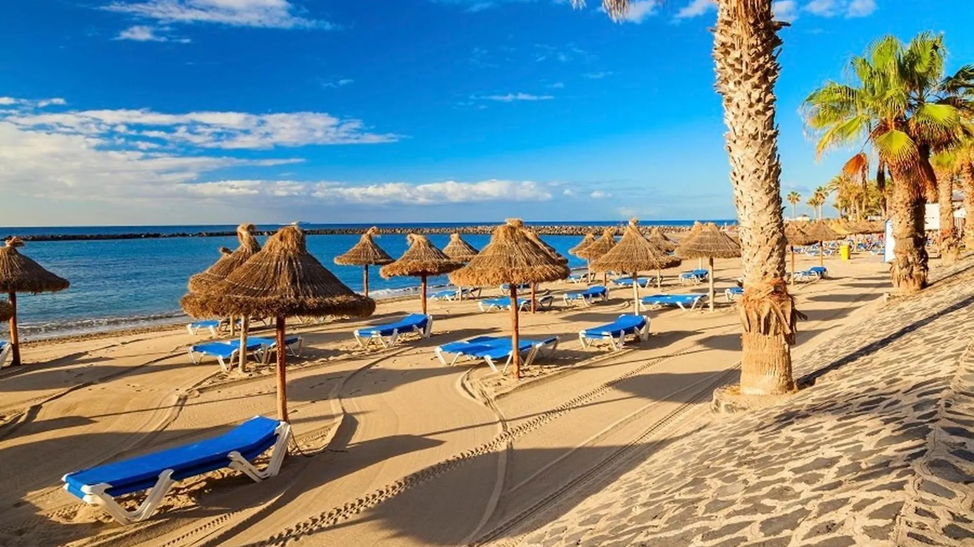 Tranquil Studio Apartment Las Americas بلايا ذي لاس أميريكاس إسبانيا